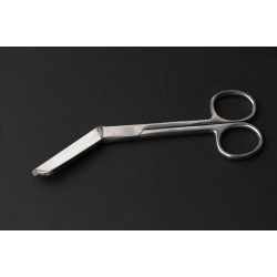 Surgical forceps