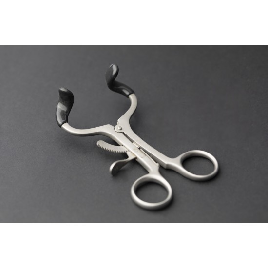 small dental molt mouth l