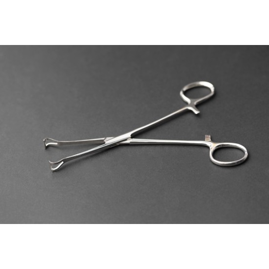 ملاقط اسفنجيه