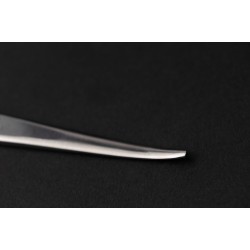BONE CHISEL AND GOUGES
