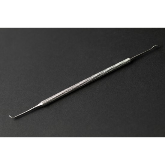 ميشيل سكالر