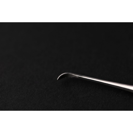 ميشيل سكالر