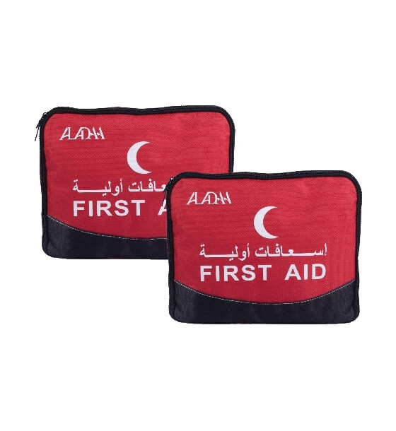 Small Insulated Travel Bag