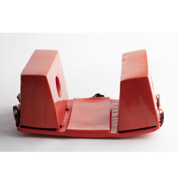 Head Immobilizer